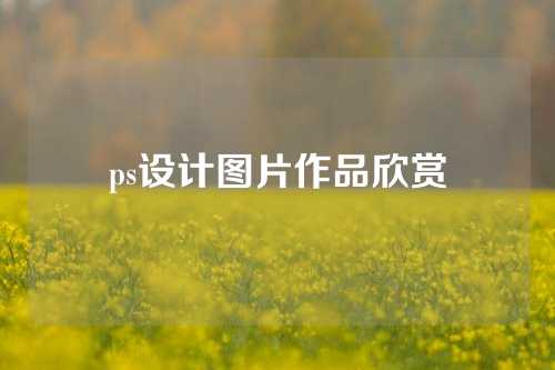 ps设计图片作品欣赏