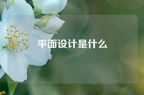 平面设计是什么