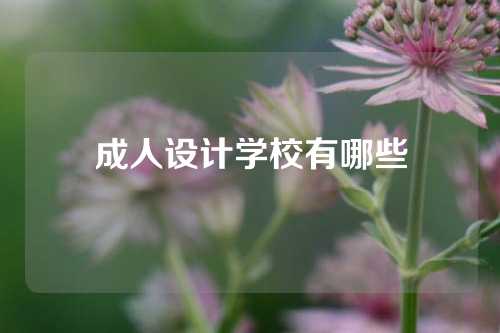 成人设计学校有哪些