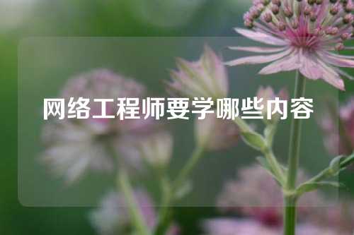 网络工程师要学哪些内容