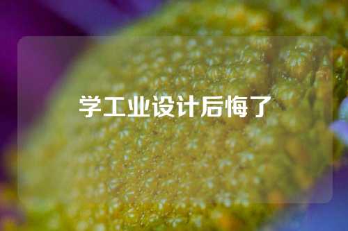 学工业设计后悔了