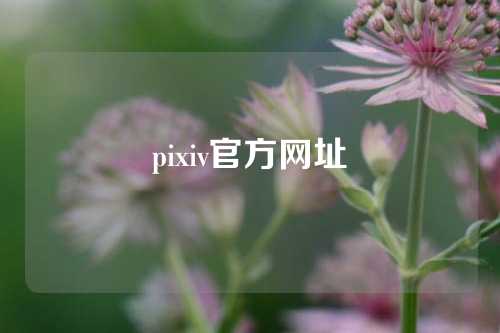 pixiv官方网址