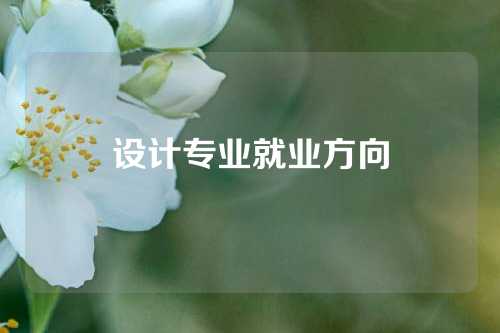 设计专业就业方向