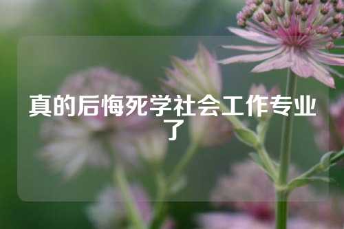 真的后悔死学社会工作专业了