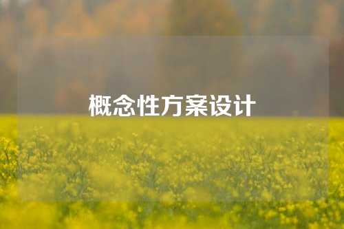 概念性方案设计