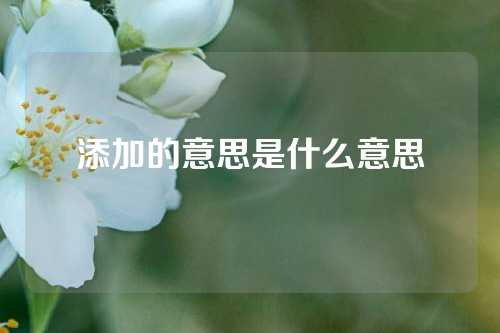 添加的意思是什么意思