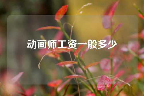 动画师工资一般多少