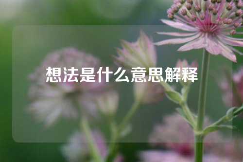 想法是什么意思解释