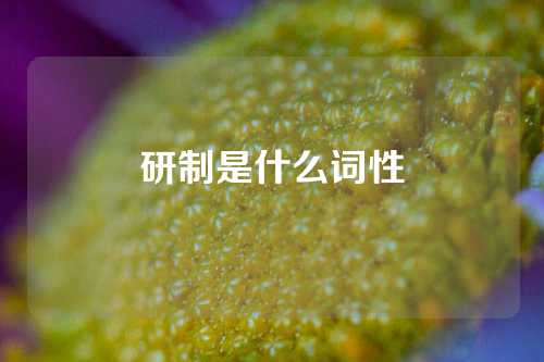 研制是什么词性