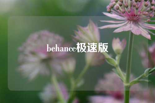 behance极速版