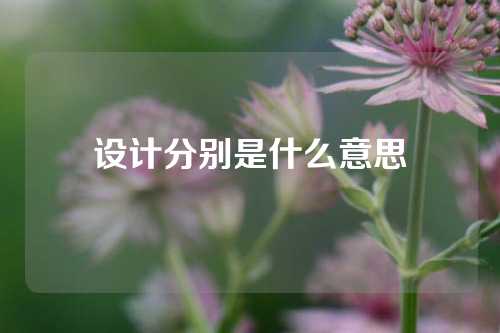 设计分别是什么意思