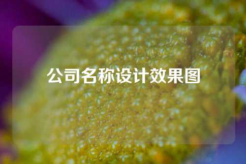 公司名称设计效果图