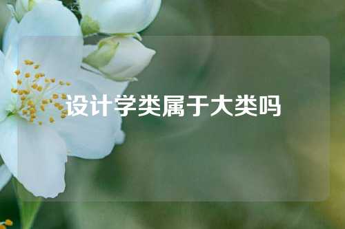 设计学类属于大类吗