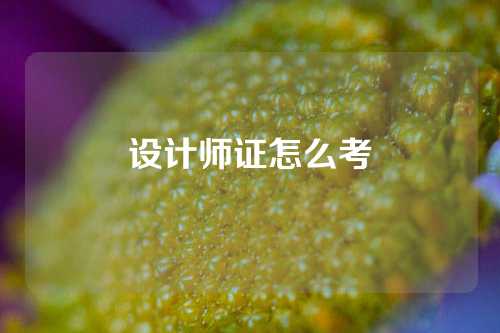 设计师证怎么考