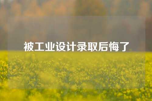 被工业设计录取后悔了