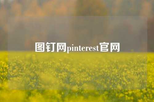 图钉网pinterest官网