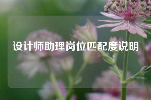 设计师助理岗位匹配度说明