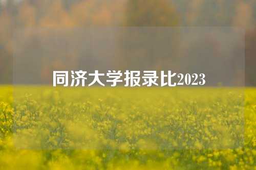 同济大学报录比2023