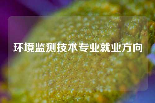 环境监测技术专业就业方向