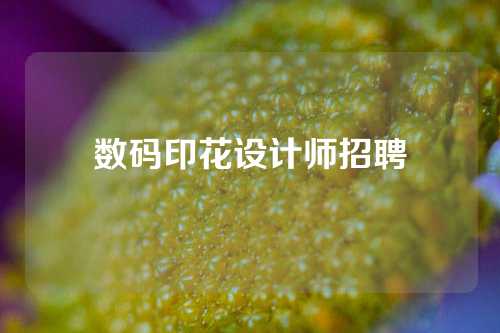 数码印花设计师招聘