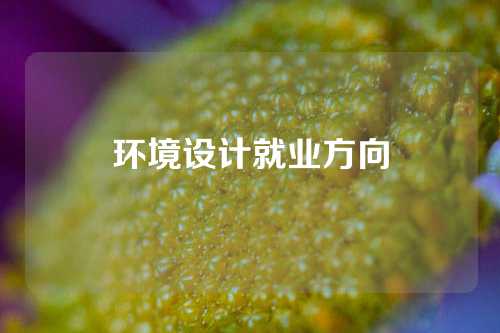 环境设计就业方向