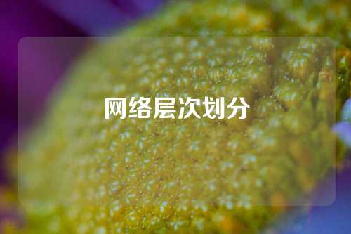 网络层次划分