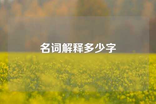 名词解释多少字