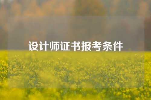 设计师证书报考条件