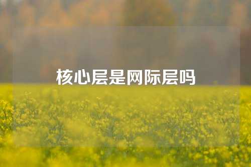 核心层是网际层吗