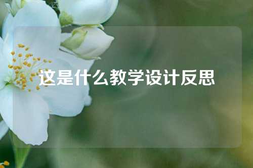 这是什么教学设计反思