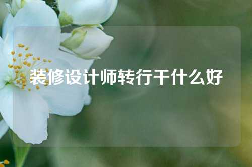 装修设计师转行干什么好