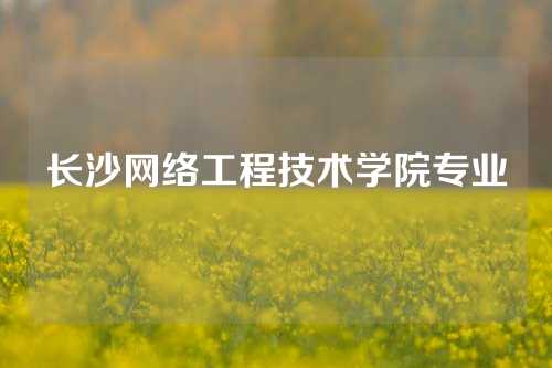 长沙网络工程技术学院专业