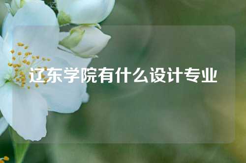 辽东学院有什么设计专业