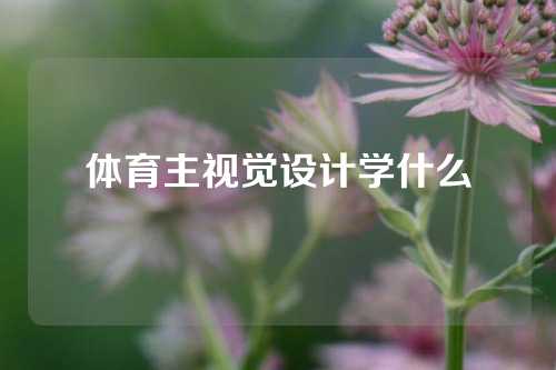 体育主视觉设计学什么