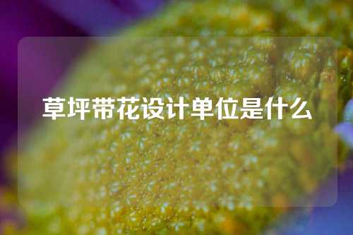 草坪带花设计单位是什么