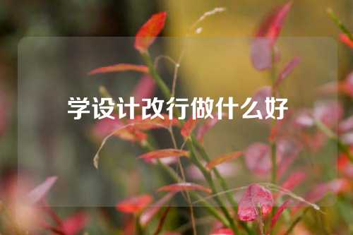 学设计改行做什么好