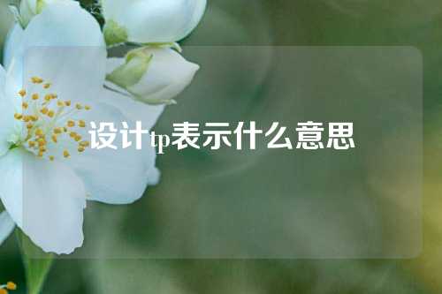 设计tp表示什么意思