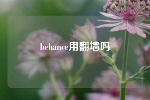 behance用翻墙吗