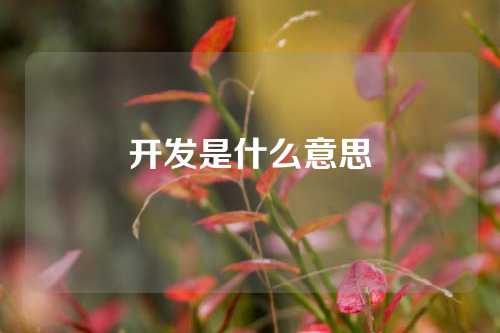 开发是什么意思