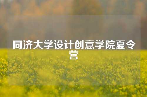 同济大学设计创意学院夏令营