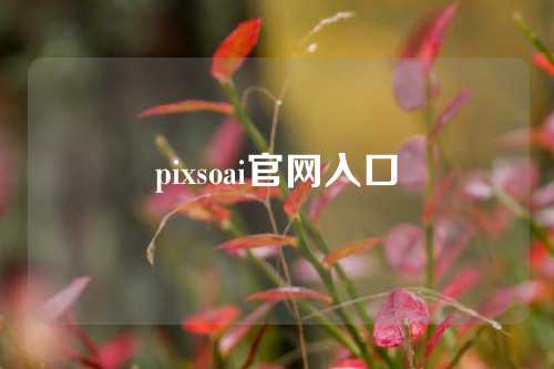 pixsoai官网入口