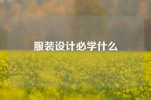 服装设计必学什么