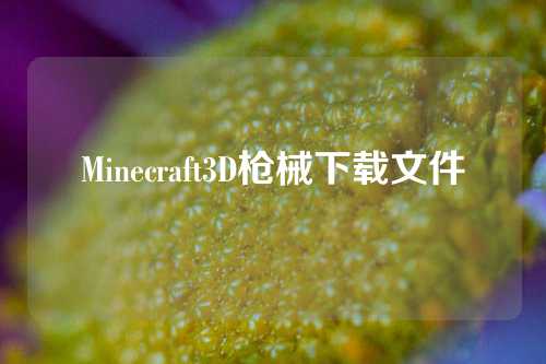 Minecraft3D枪械下载文件