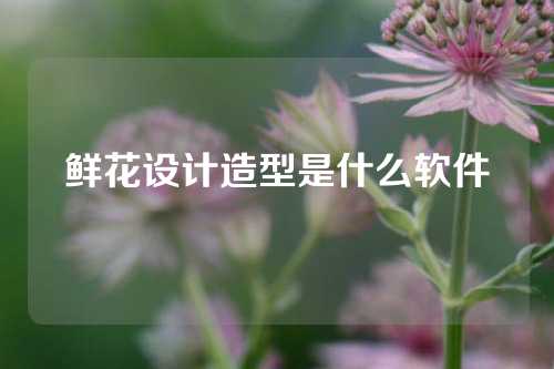 鲜花设计造型是什么软件