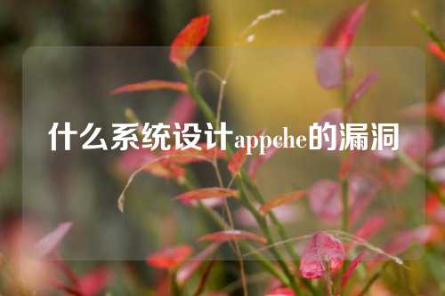 什么系统设计appche的漏洞