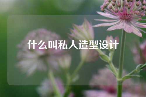 什么叫私人造型设计