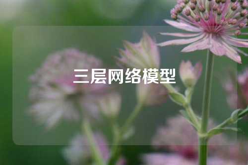 三层网络模型