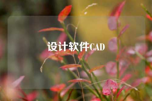 设计软件CAD