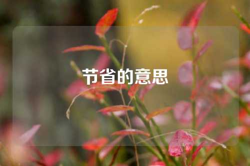 节省的意思