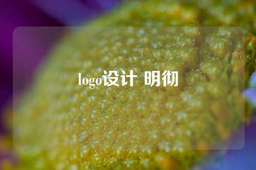 logo设计 明彻